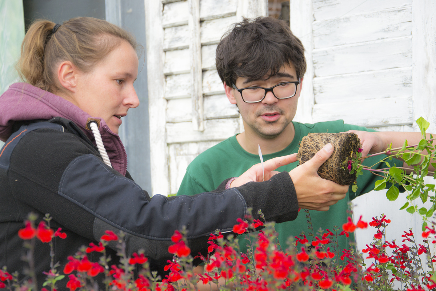 Berufsausbildungsassistenz - Ausbildung in einem Gärtnereibetrieb